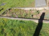 image of grave number 777450